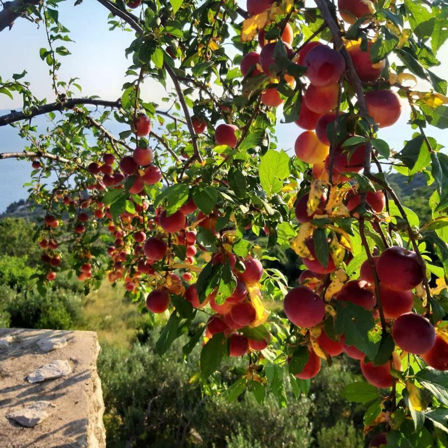 Villa Marija Podgora Esterno foto
